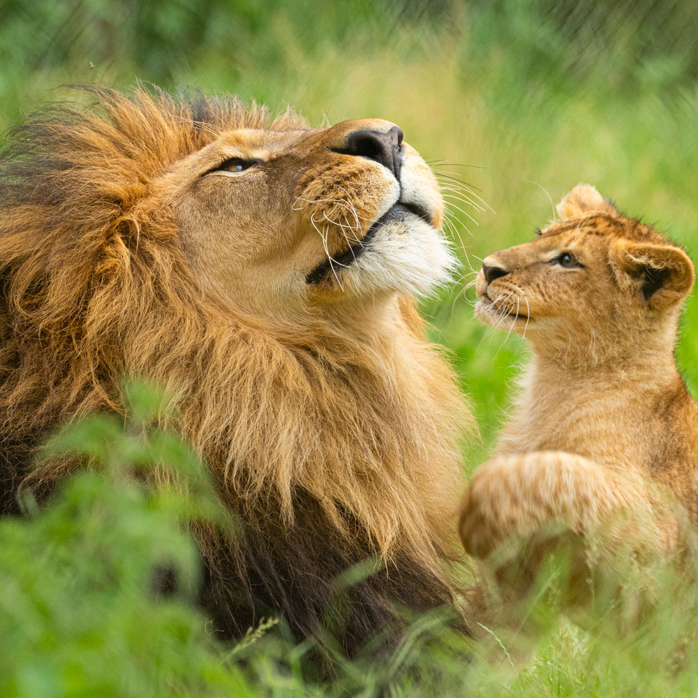 Photo Voyage autocar Perier Voyages